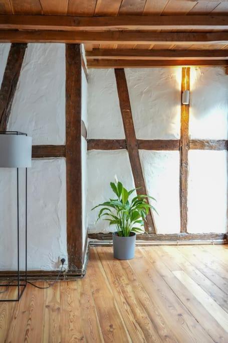 Charmante Fachwerk Wohnung Mit Terrasse In Der Altstadt 科布倫茨 外观 照片
